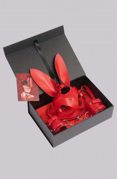 5li Fantezi Harness Deri Kırmızı Set Özel Tasarım Premium Model 800729K
