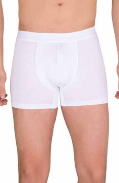 Berrak Erkek Modal Boxer  4476