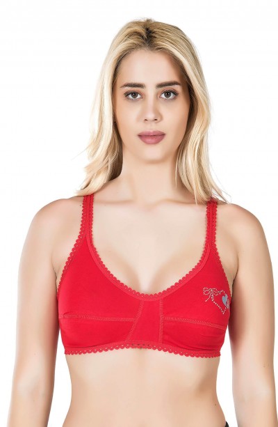 Derya Kurşun Dantel Askılı Büstiyer Sütyen 527