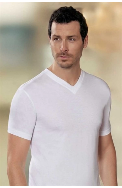 Şahinler V Yaka Erkek Penye E008